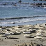 cambria_313 (November 03, 2018)